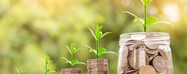お金の量に比例して成長する植物