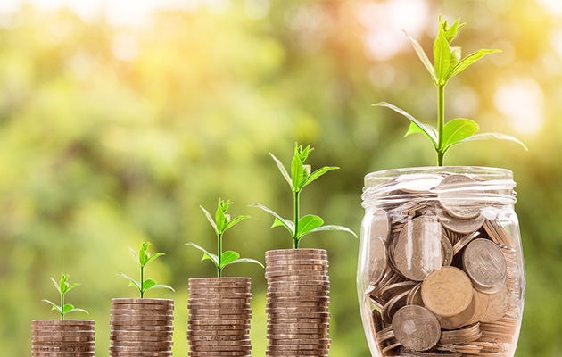 お金の量に比例して成長する植物